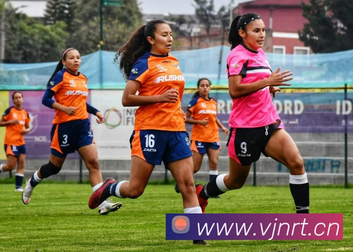 乐鱼官方体育网站平台生态图