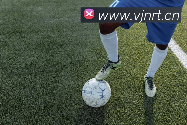 乐鱼官方体育网站APP 封面图